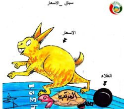 المواطنة