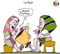 المواطنة