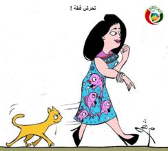 المواطنة