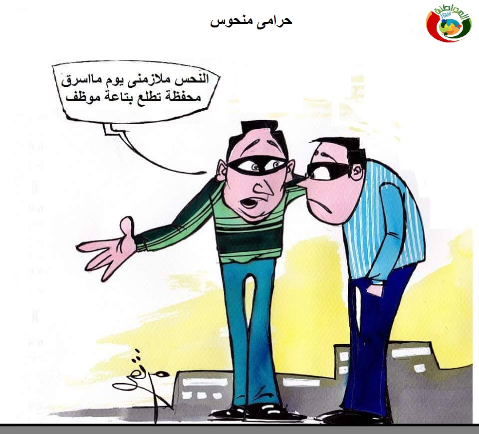 المواطنة