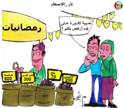 المواطنة