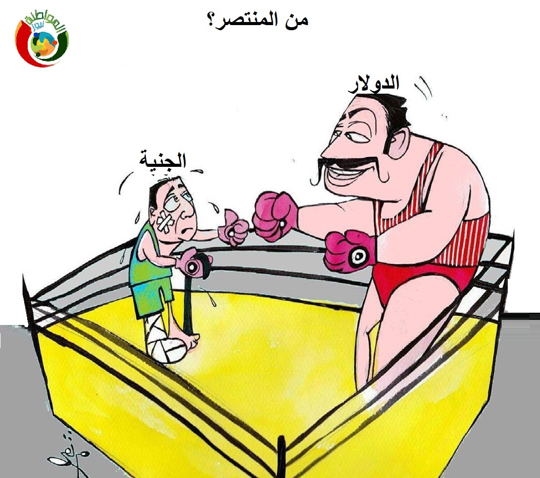 كاريكاتير المواطنة دولار