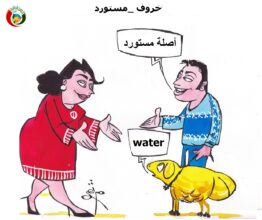 خروف مستورد