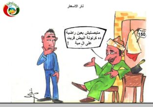 كرتونة البيض