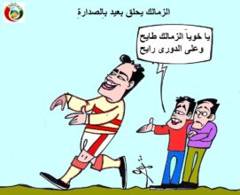 مواطنة
