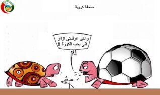 كروية