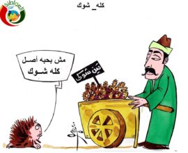 شوك