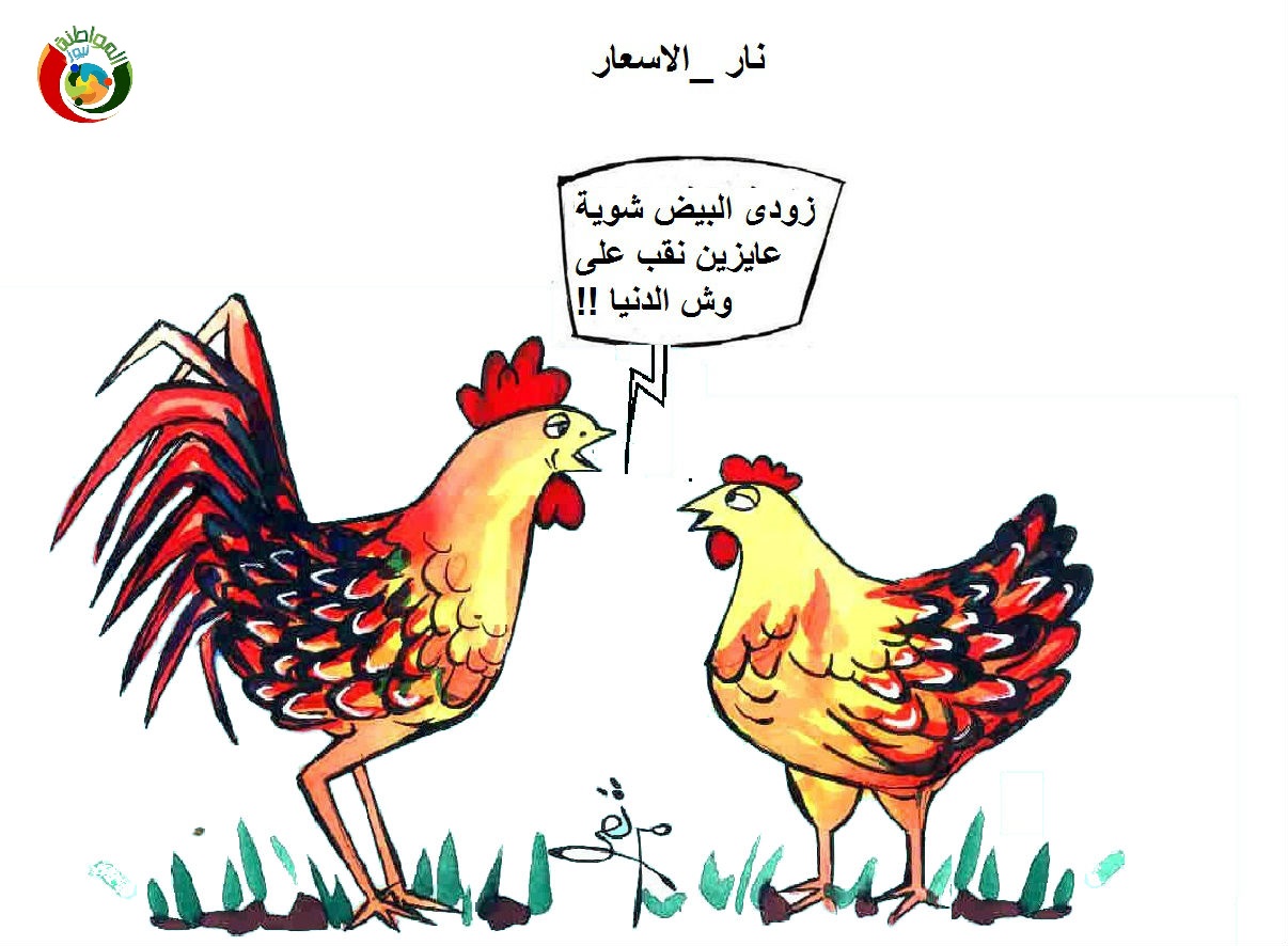 نار الاسعار 2022
