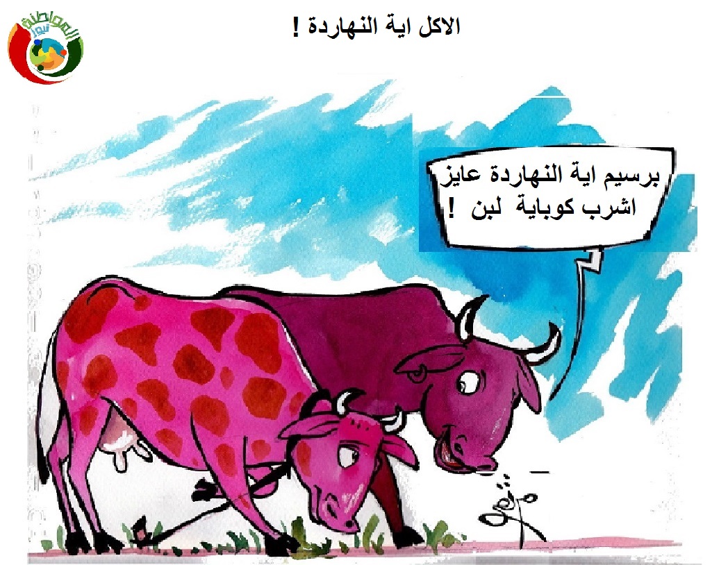 الاكل اية النهاردة