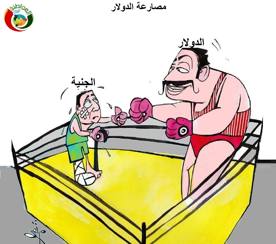 مصارعة الدولار