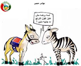 نوادر حمار