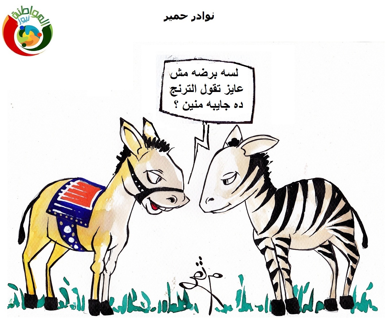 نوادر حمار