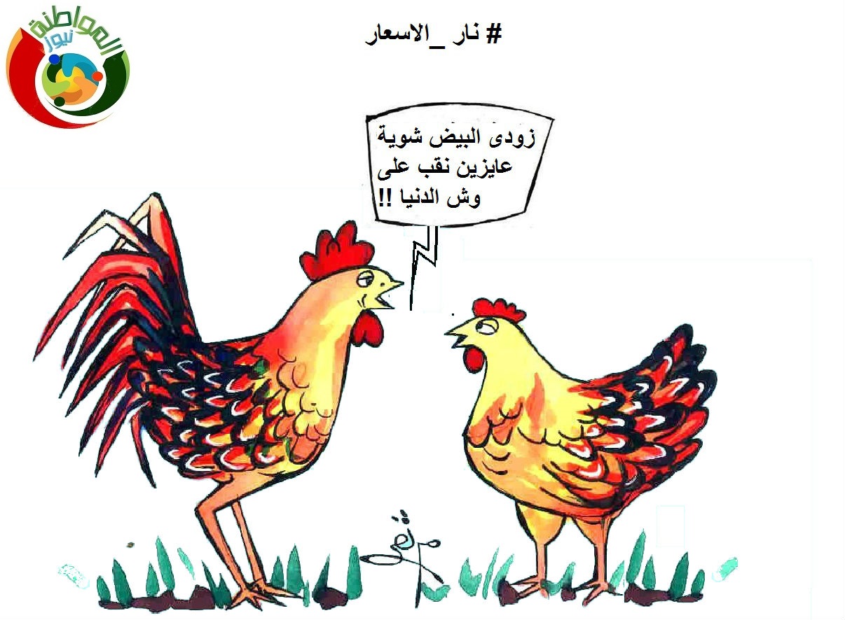 نار الاسعار 2024