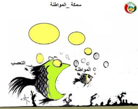 كاريكاتير المواطنة نيوز