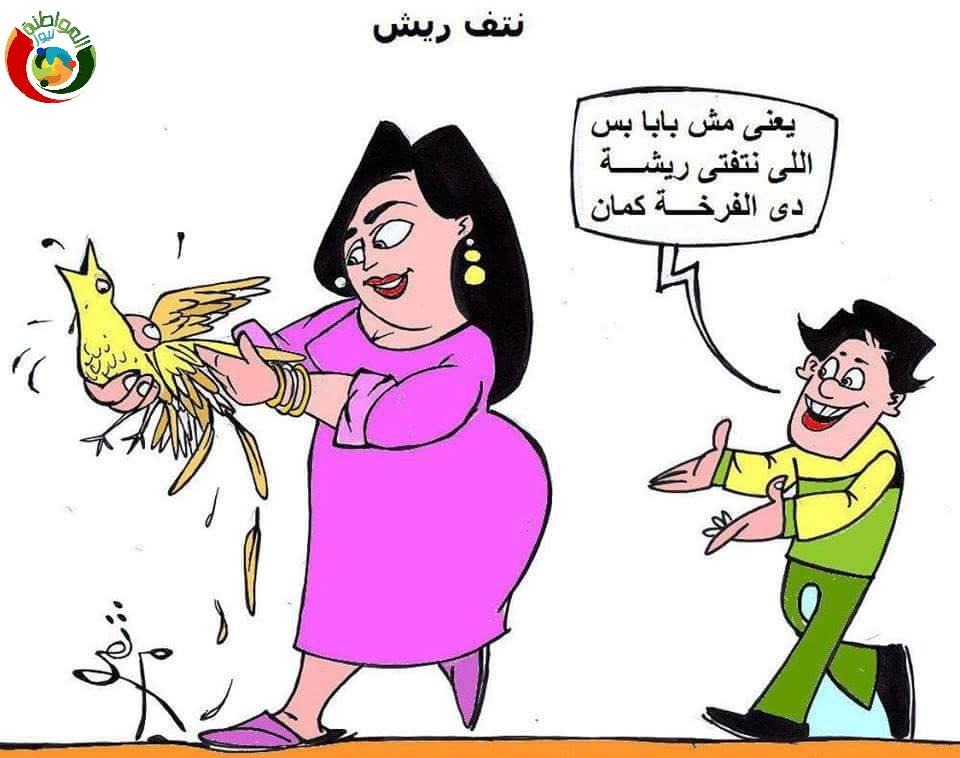 نتفة ريشة