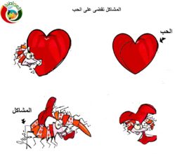 المشاكل تقضى على الحب