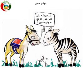 نوادر حمار