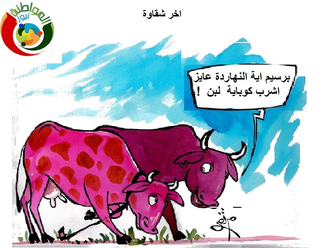 اخر شقاوة