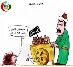فوق الشوك